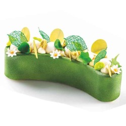 Moule à gâteau et glaces Stella del Circo de Silikomart