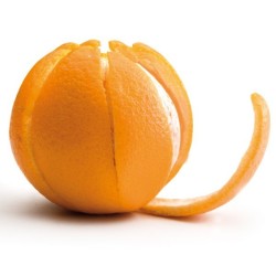 Orangen- und Zitrusschäler aus Edelstahl von Ibili