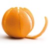 Rvs sinaasappel- en citrusschiller