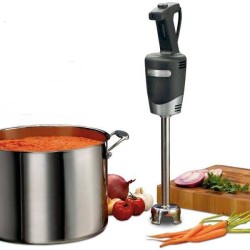 Mixeur plongeant professionnel Waring 1 HP (bloc moteur)