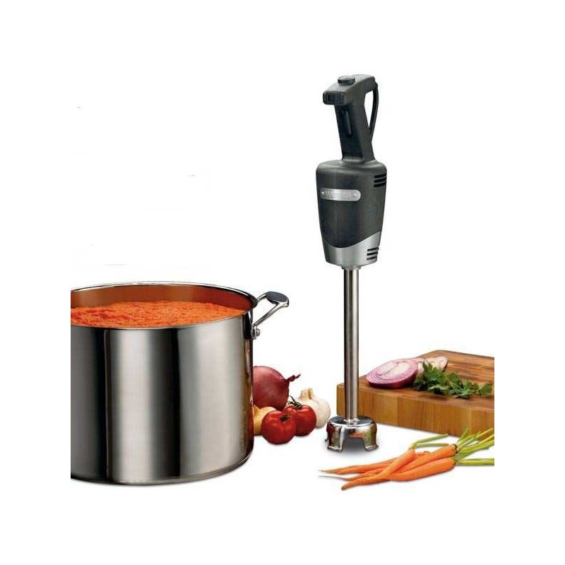 Waring Profi-Stabmixer 1 HP (Motorblock)