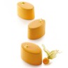 Molde Multiflex Oval 125 Silikomart Professional
