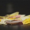 Szpatułka Choco Leaves 05 Silikomart