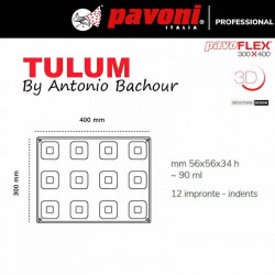 Molde de silicona Tulum Pavoflex 400x300 de Pavoni