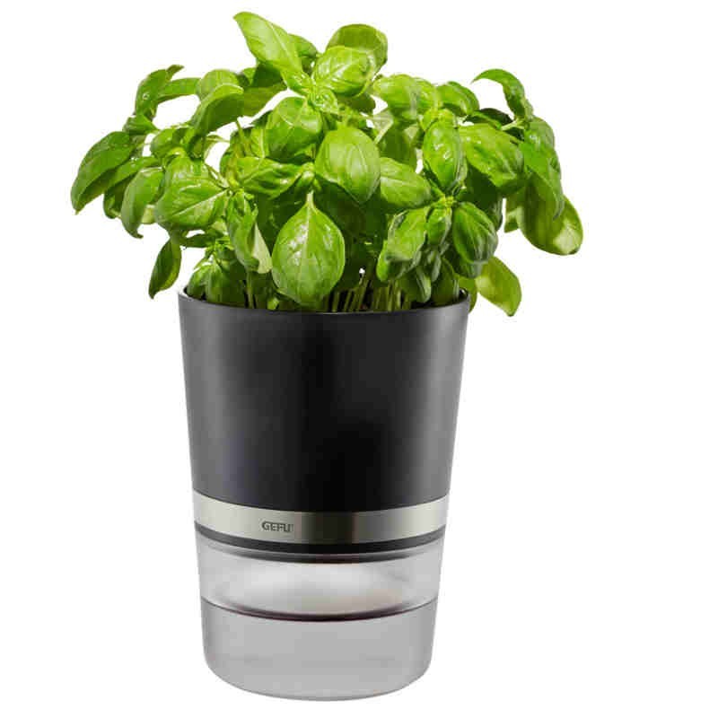 Vaso para ervas aromáticas Botânico da Gefu