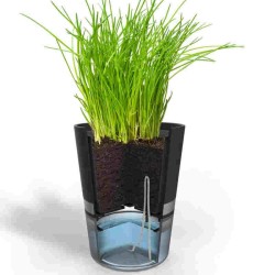 Vaso per erbe aromatiche Botánico Gefu