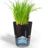 Vaso per erbe aromatiche Botánico Gefu