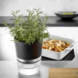 Vaso para ervas aromáticas Botânico da Gefu