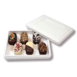 Take Away Box expanded polystyrene container (100 units)