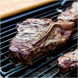 Char-Broil Performance 2600 Holzkohlegrill