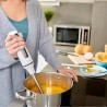 Taurus Stabmixer Bapi 1000 Inox