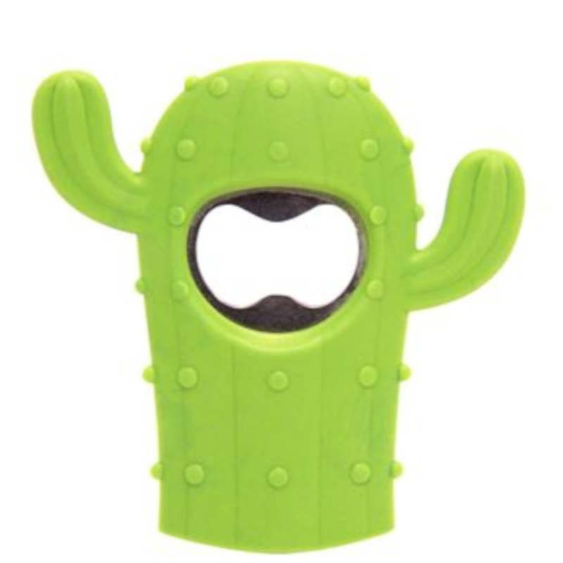 Flesopener Cactus van Kook time