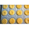 Set de 8 tampons à biscuits en silicone et emporte-pièce