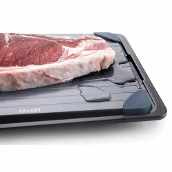 Ibili defrosting plate