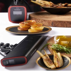 Cyrkulator sous vide Roner 20 marki ICC