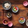 Cocina japonesa vegetariana de Stevan Paul