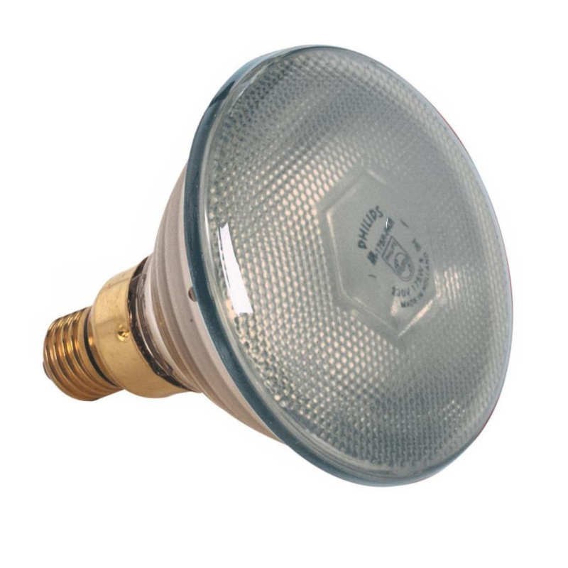 Ampoule pour lampes chauffantes de Pujadas
