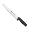 Cuchillo profesional panero pastelero 25 cm Atenas de Martinez y Gascon