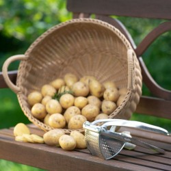 Prensa patatas de Westmark