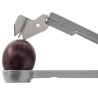 Westmark Steinex plum stoner