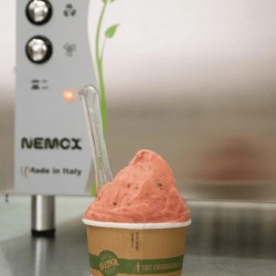 Nemox Gelato Chef 3L automatic i-Green ice cream maker