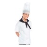 Giacca da cucina unisex manica corta ECONOMIC
