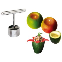 Tellier professional stainless steel corer