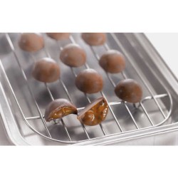 Tellier stainless steel tray with rack