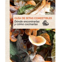 Guida ai funghi commestibili, dove trovarli e come cucinarli