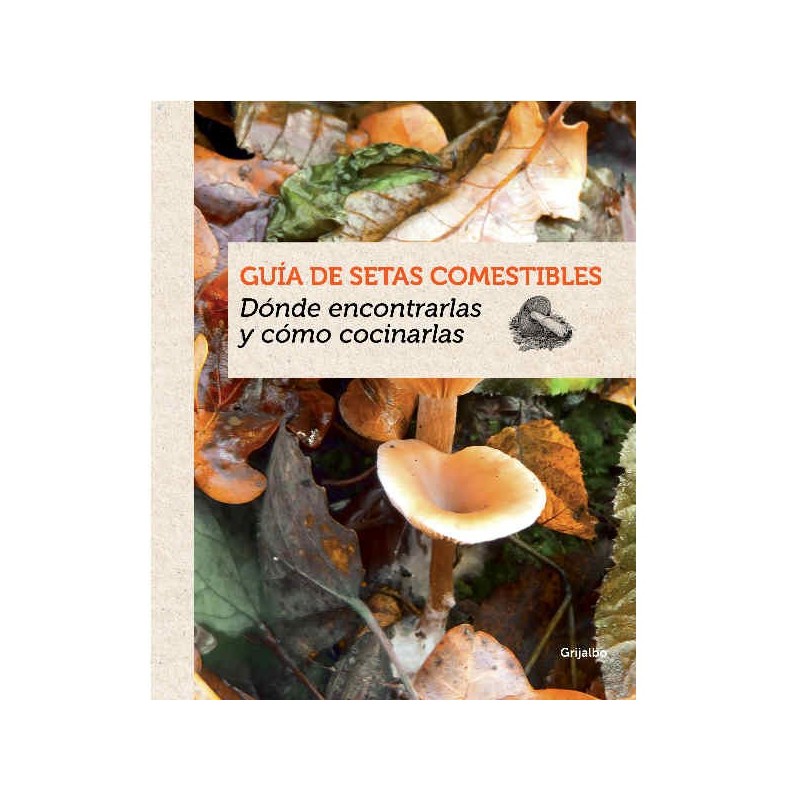 Guía de setas comestibles, dónde encontrarlas y cómo cocinarlas