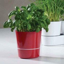 Kruidenpot 13 cm Hydro Herb van Mepal