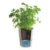 Mepal Hydro Herb Kräutertopf 13 cm
