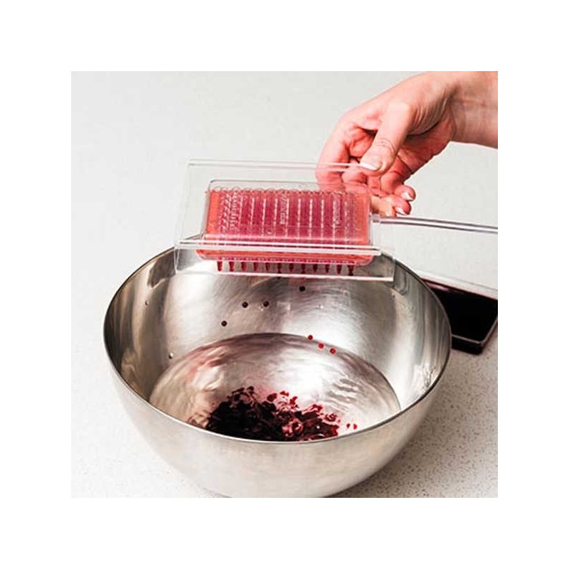 Caviar Box für Sphärifikationen von Perlen oder falschem Kaviar 100% Chef