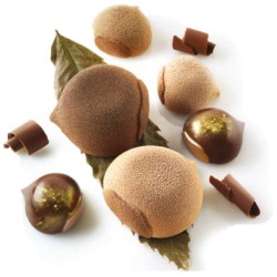 Stampo Marron Glacé 110 CurveFlex Silikomart