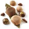 Stampo Marron Glacé 110 CurveFlex Silikomart