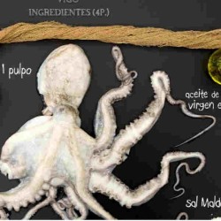 Pulpo