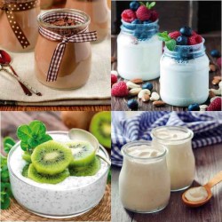 Lacor Multi electric yoghurt maker with jars