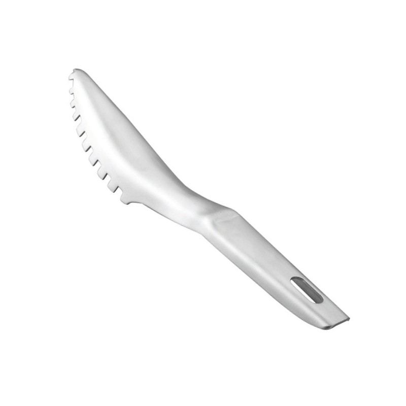 Squamapesce inox 19 cm